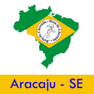 Reta de Chegada pelo Brasil - 1 aula em Aracaju / SE